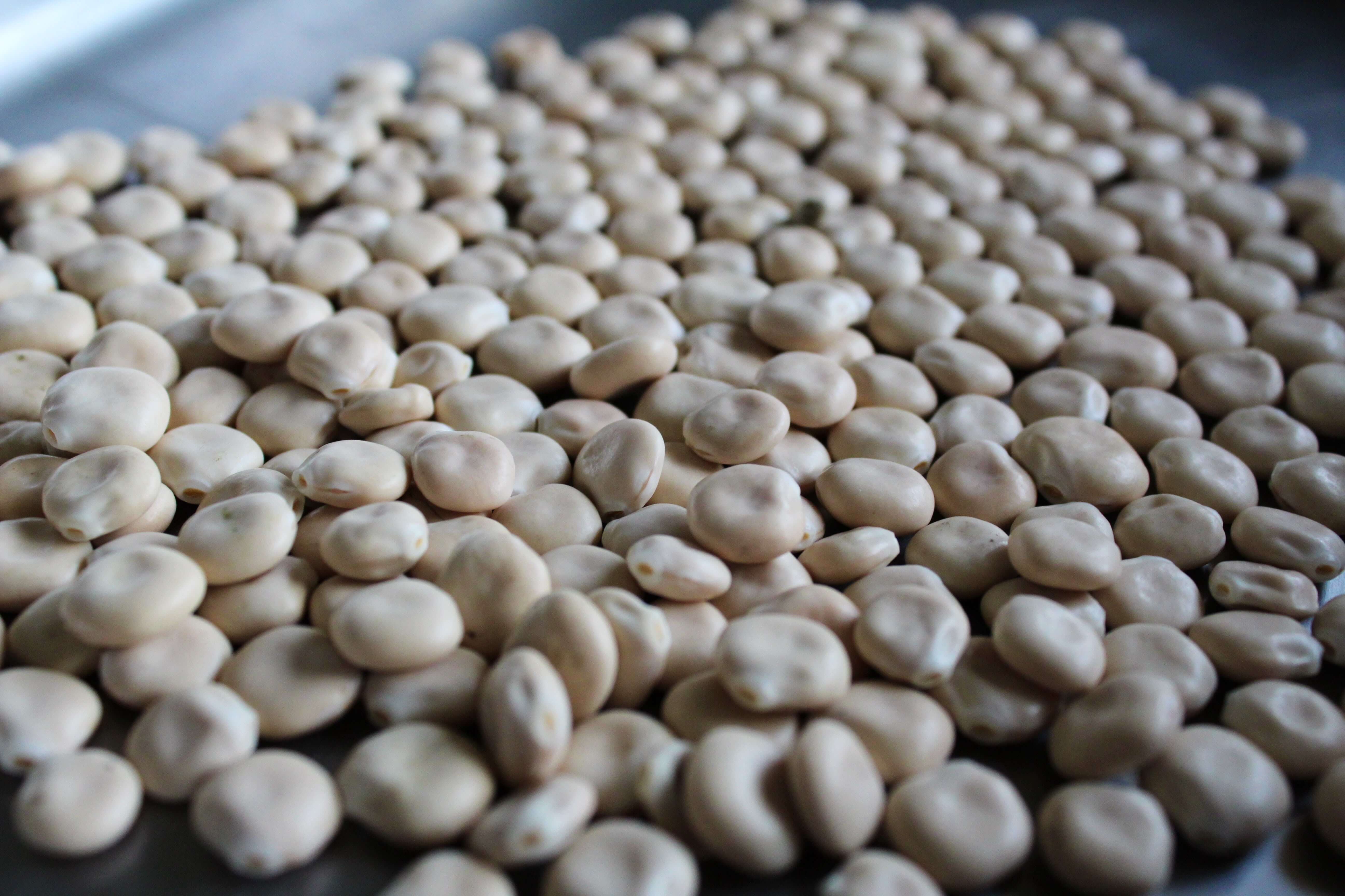 Pulses image